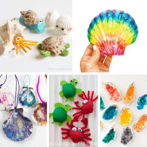 30 SEASHELL CRAFTS for kids and adults for a creative summer.