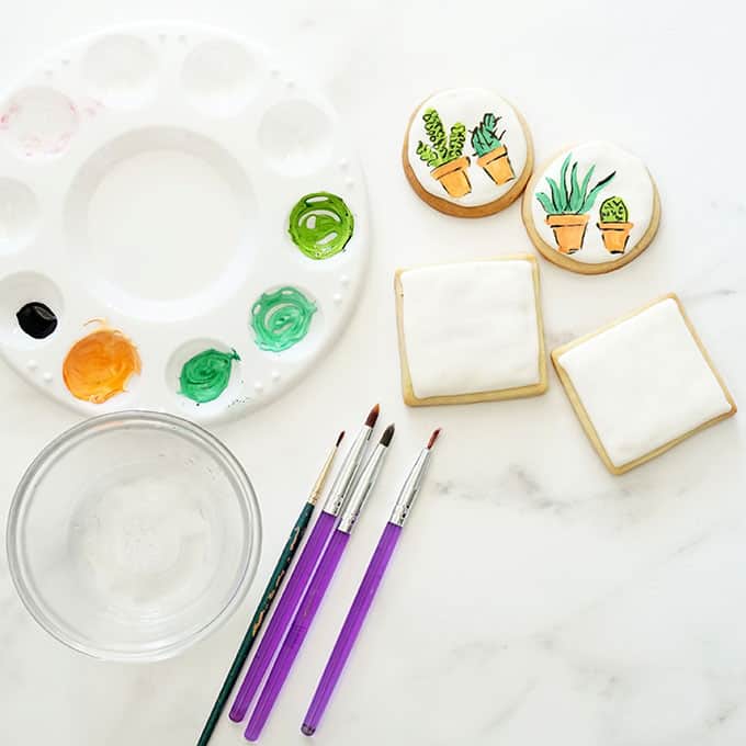 tools to make painted succulent cookies